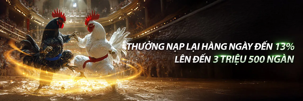 Đá gà chiến lược và quy tắc